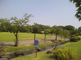 会場の芝生.jpg